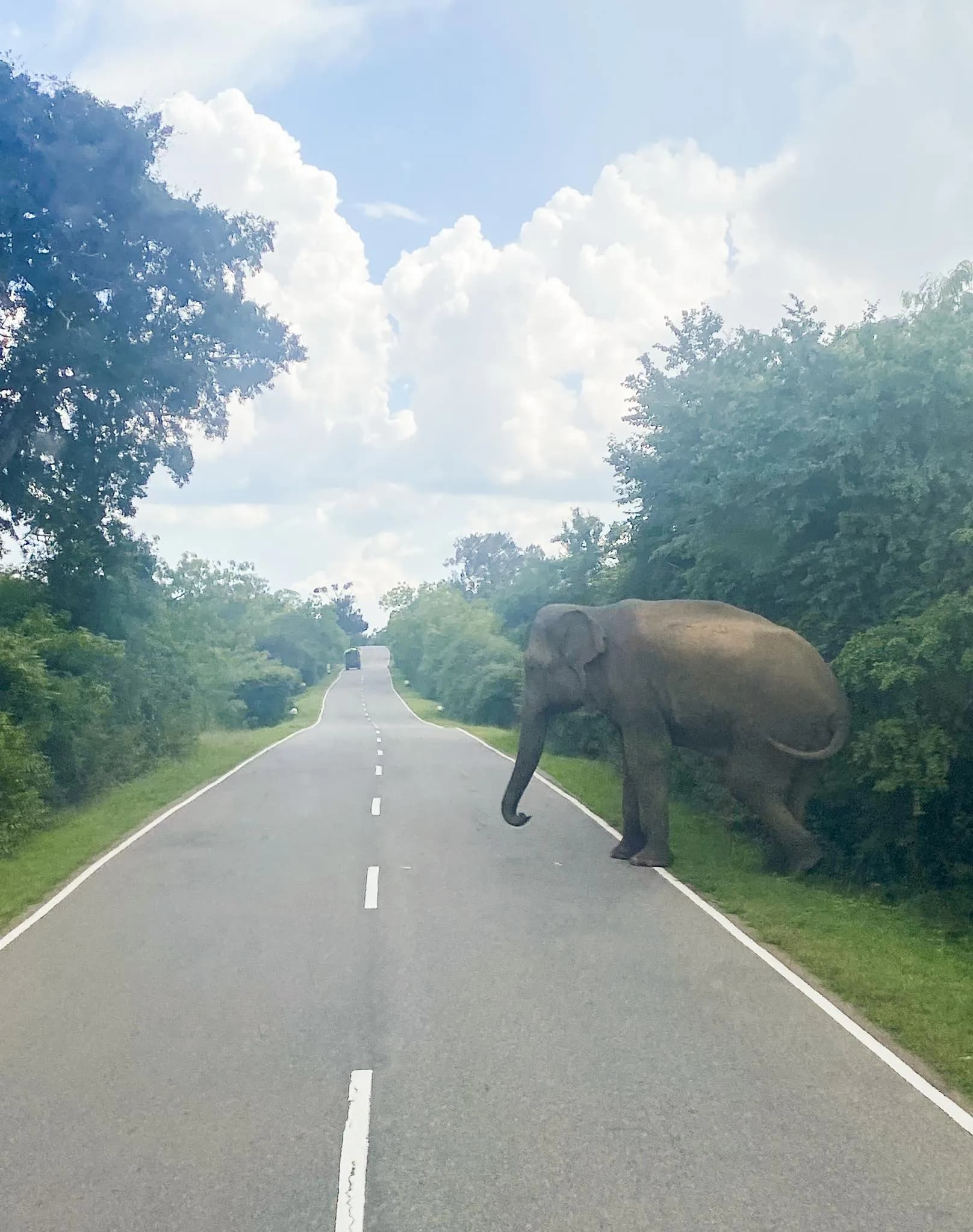 Gal Oya National Park