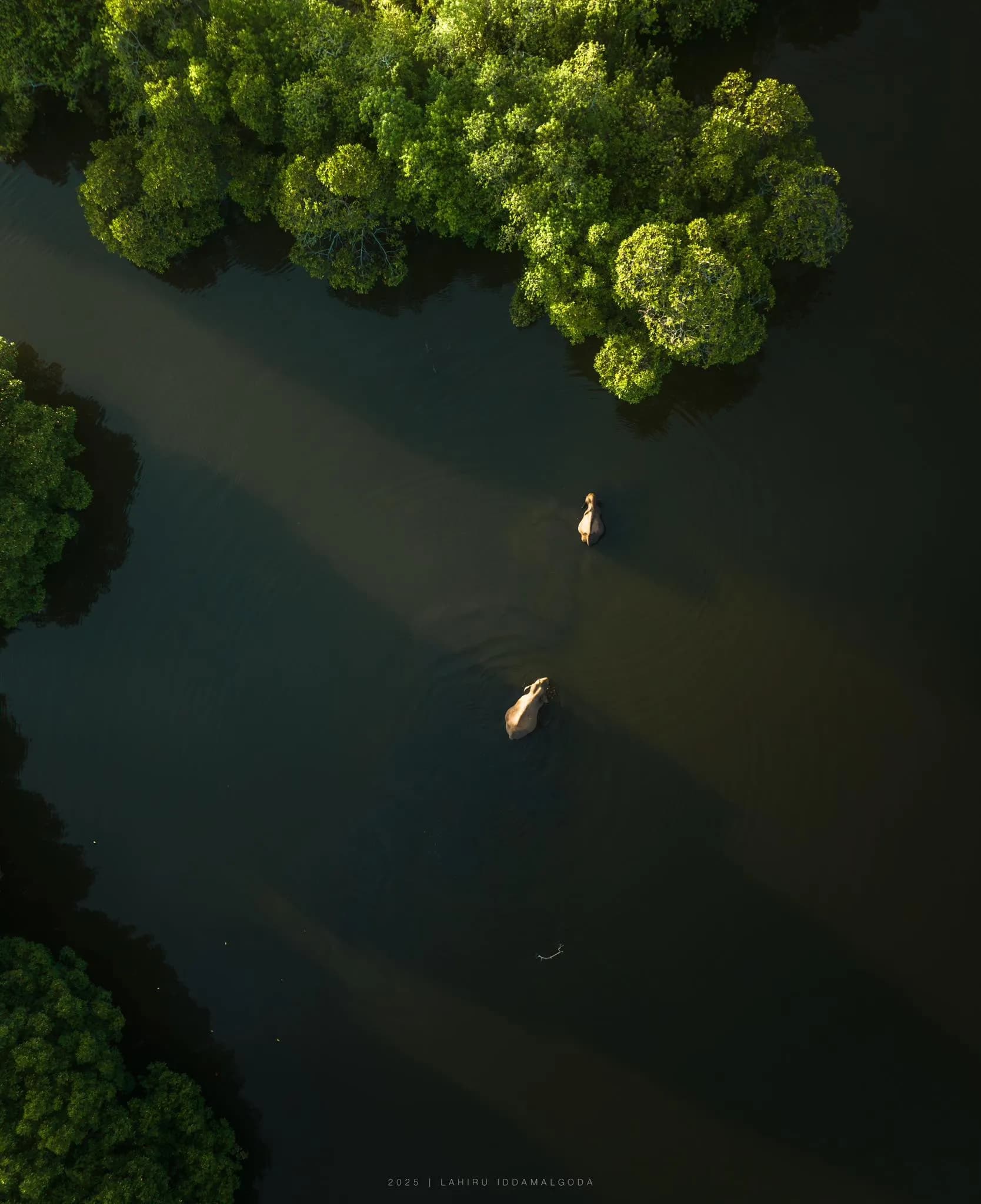 Kaudulla National Park