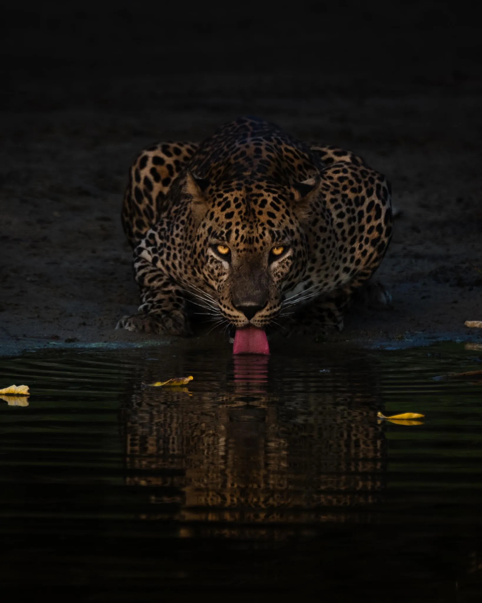 Kumana National Park