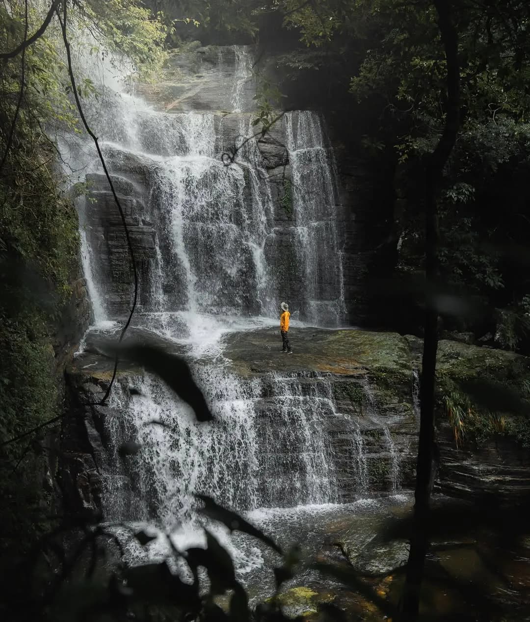 Discover the Magical Waterfalls and Lush Jungles of Sri Lanka