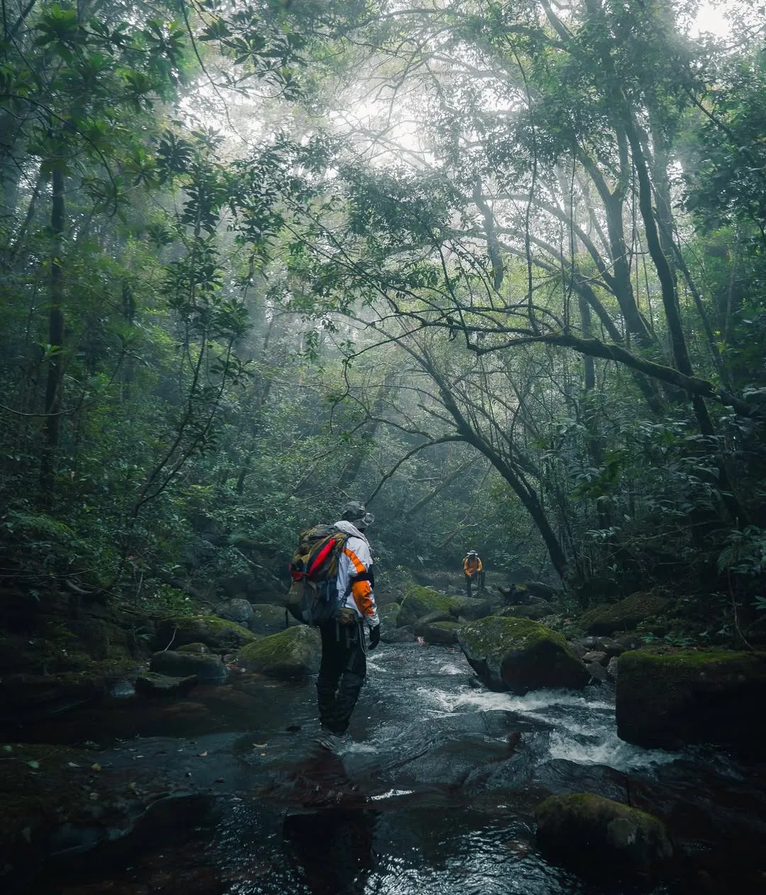 Jungle hike in Sri Lanka