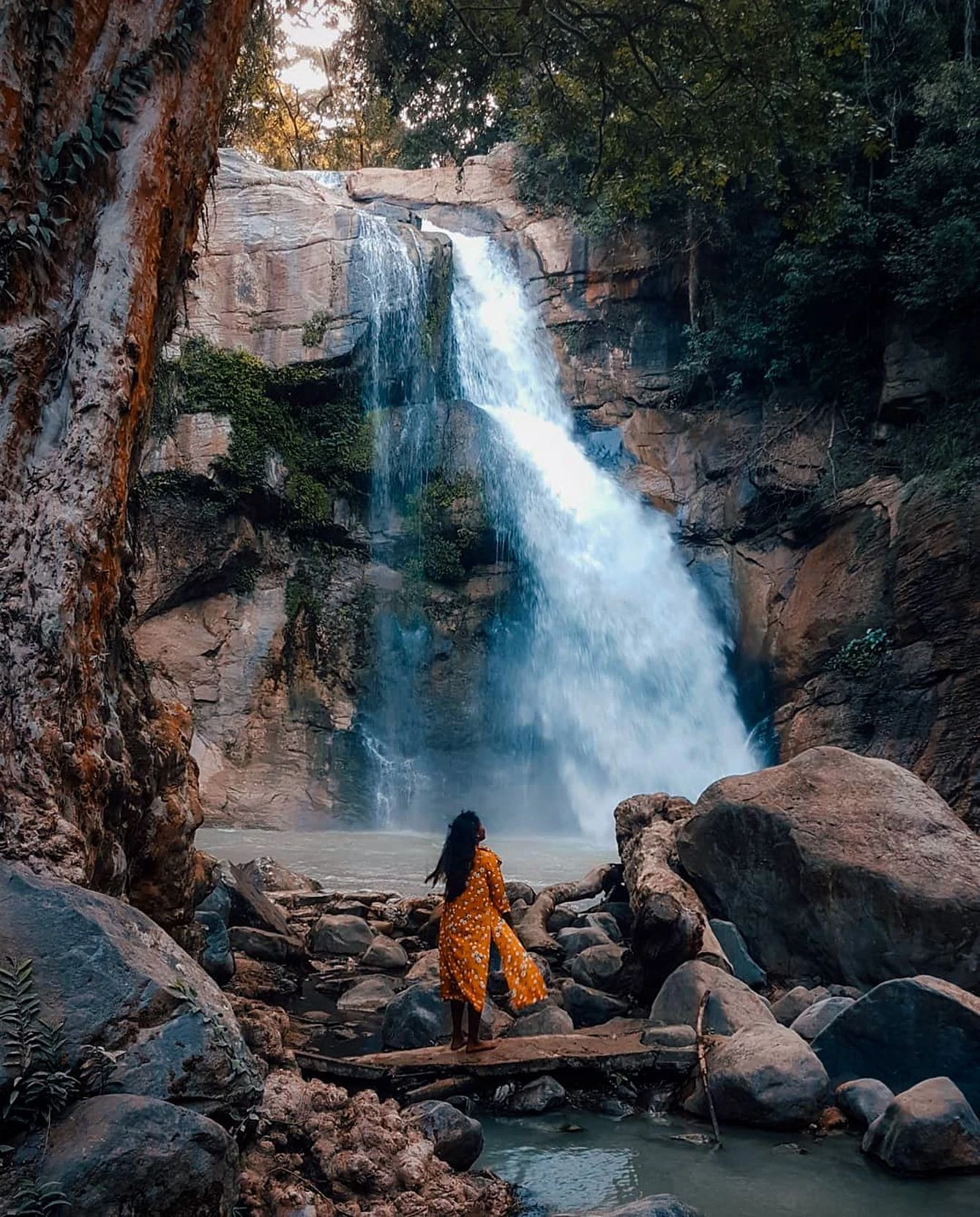 Ellawala Falls