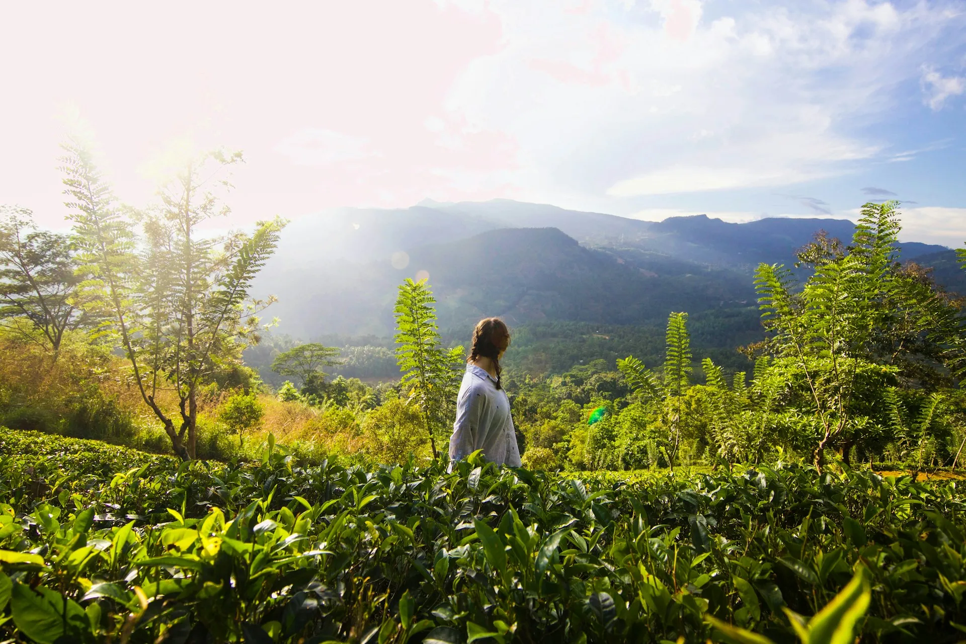 Knuckles, Sri Lanka
