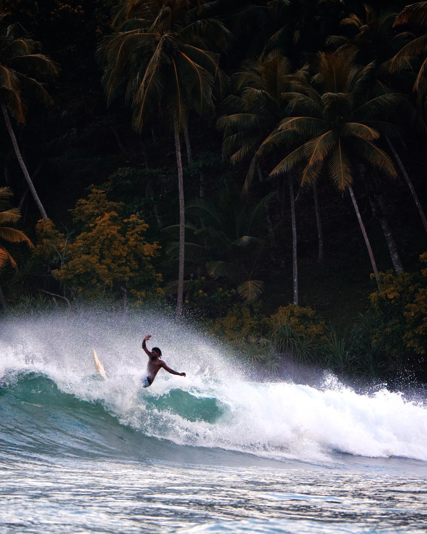 Surfing in Mirissa